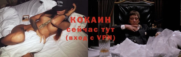 сатива Алексин