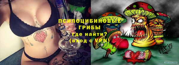 сатива Алексин