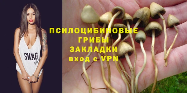 сатива Алексин