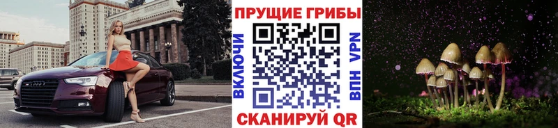 Псилоцибиновые грибы Psilocybe  Правдинск 